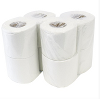White 2 Ply Toilet Tissue Paper