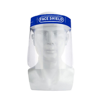 Face Shield (Visor) With Comfort Padding